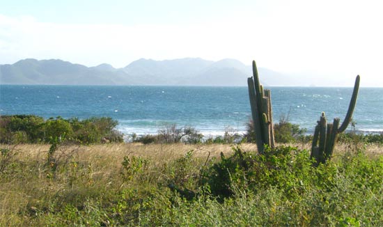 caribbean golf