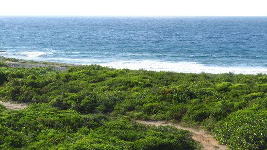 view of open caribbean sea from moondance villa