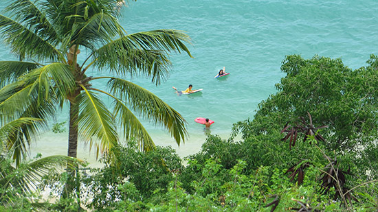 carrizalillo bay in puerto escondido