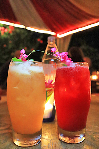 Bird of Paradise & Hibiscus Mule 