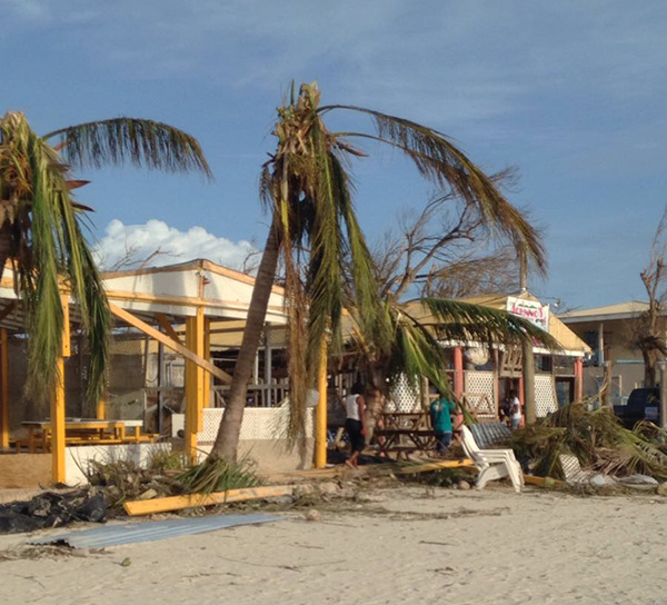 dads hurricane irma