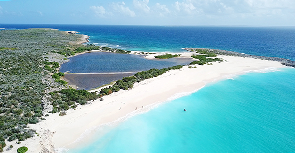 Great Bay Dog island, Anguilla Charters- Rum & Reel