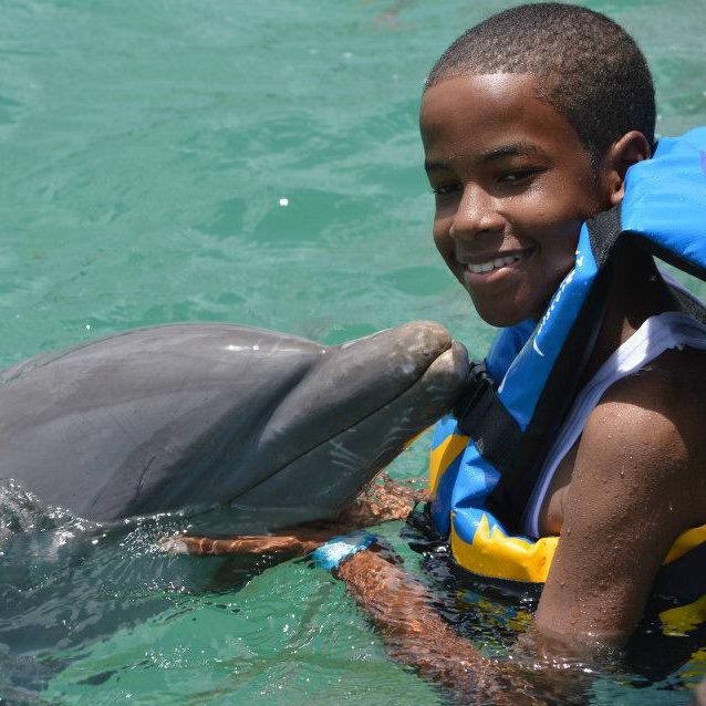 dolphin discovery anguilla