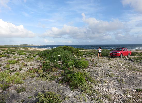 east end anguilla windward point