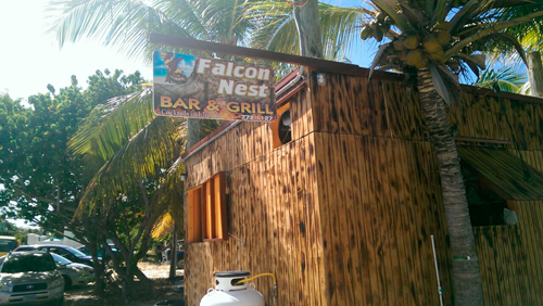 the side of falcon nest