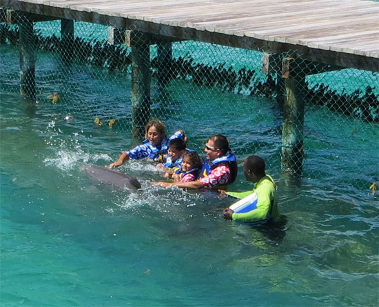 family dolphin swim anguilla