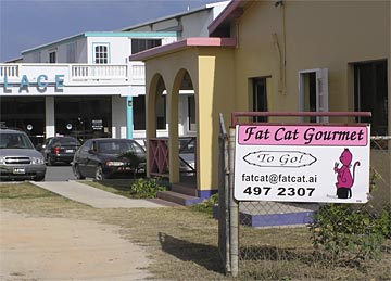 Caribbean Vacations Fat Cat