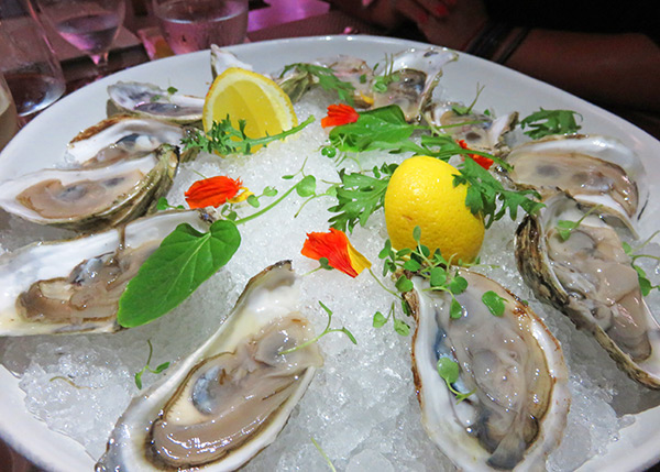 fresh oysters from the yacht club restaurant at the reef in anguilla
