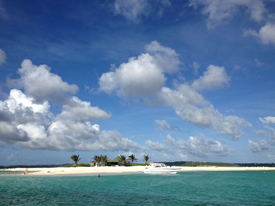 prickly pear sharks anguilla