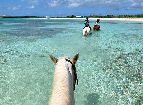 anguilla horseback riding
