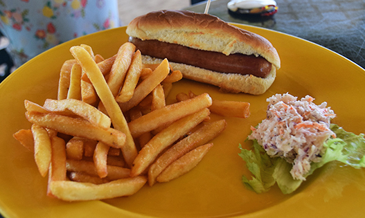 Hot Dog and fries at Elodias