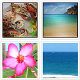 anguilla beaches instagram