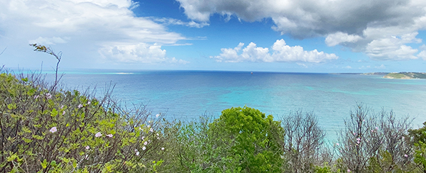 caribbean real estate Isaac's Cliff  