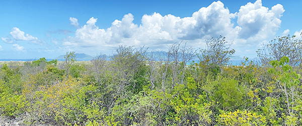  caribbean real estate Isaac's Cliff view of st maarten 