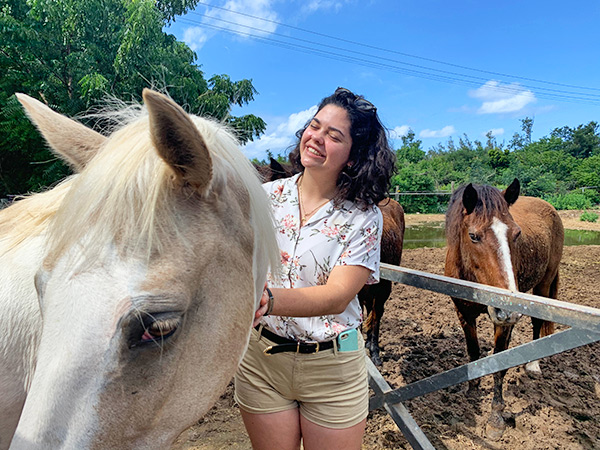 anguilla horseback riding