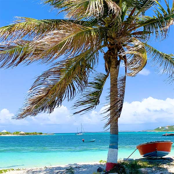 panoramic view of island harbour