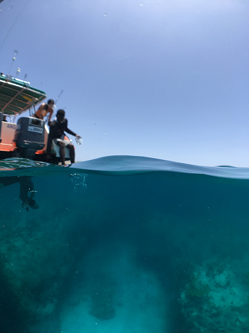 jumping into scrub island ocean