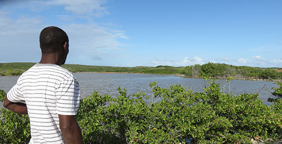 junks hole salt pond