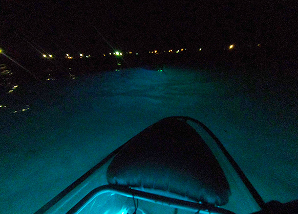  liquid glow night kayak tour