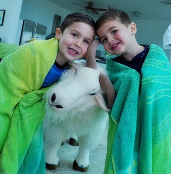 kids love the cute anguilla goats