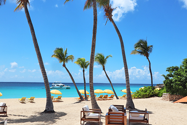 Meads Bay View from Leon's