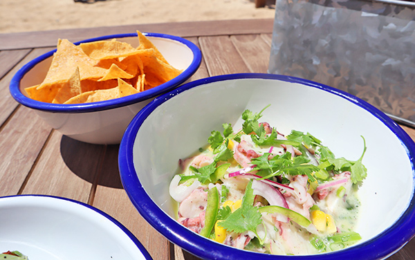 Octopus Ceviche with Tortilla Chips