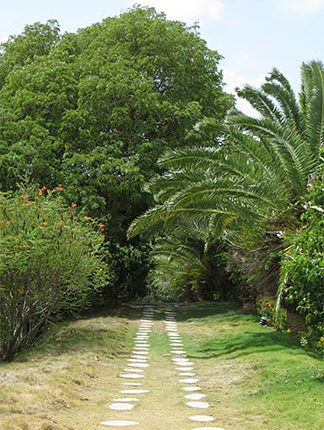 path to the beach