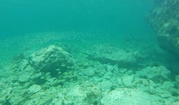 snorkeling by the beautiful rocks of little bay