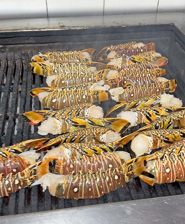 jasper schneider at lobster bbq