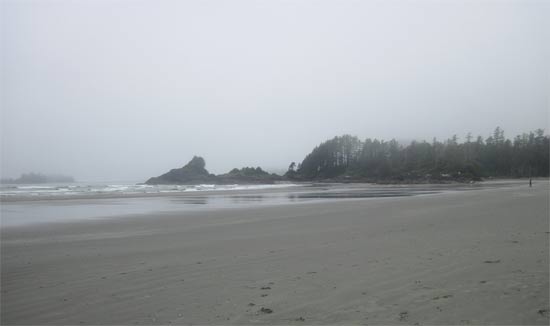 tofino surf long beach