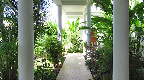 lush gardens that surround the villa suite