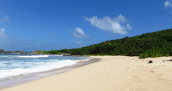 the st. martin surf spot