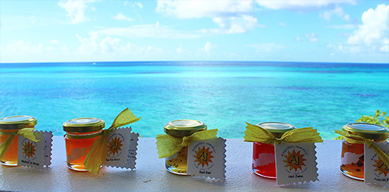 mini anguilla jammin jam jars