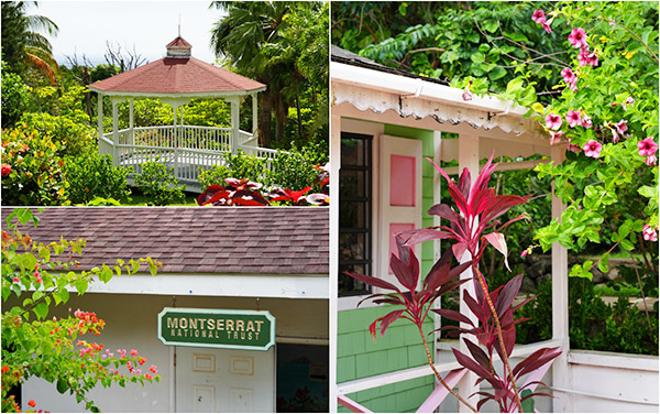 Avocado Toast with Chicken Breast