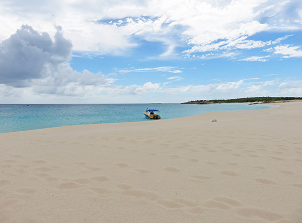 dog island with shoal bay scuba