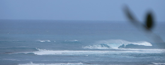 new waves for future surfing