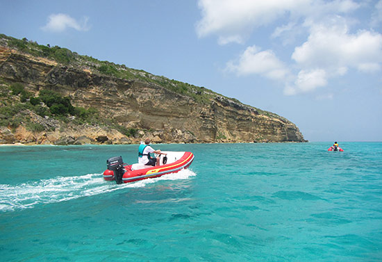 ocean anguilla