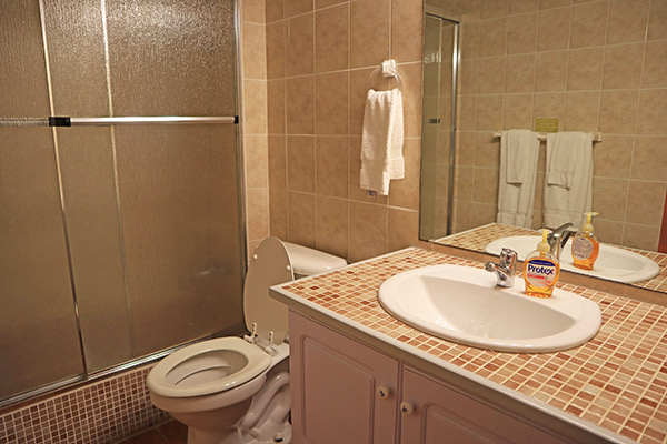 second bathroom in ocean terrace condos