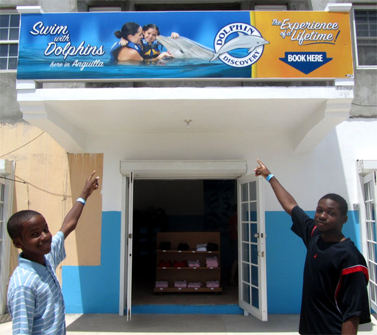 dolphin discovery anguilla office