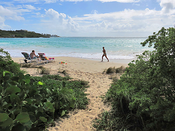 stepping onto sandy hill beach from bird of paradise path