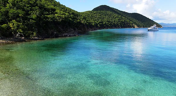 snorkeling in little harbour bvi