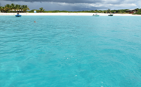 the beach at PRickly pear