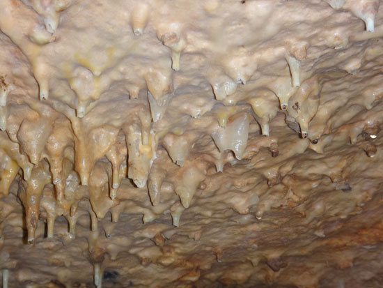 new stalagmites inside katouche cave in anguilla