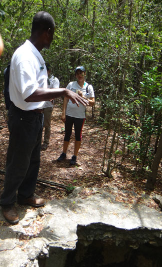 old plantation well in katouche valley