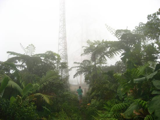 mt. scenery saba