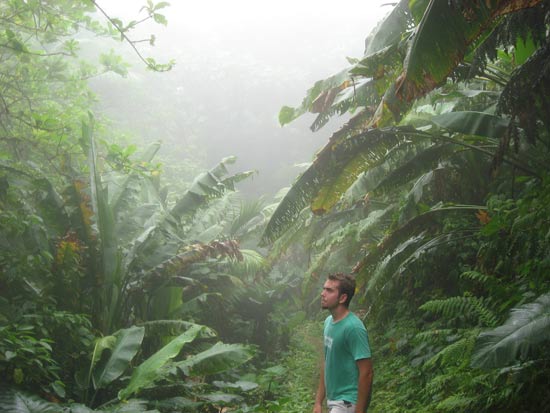 mt. scenery saba