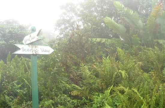 mt. scenery saba