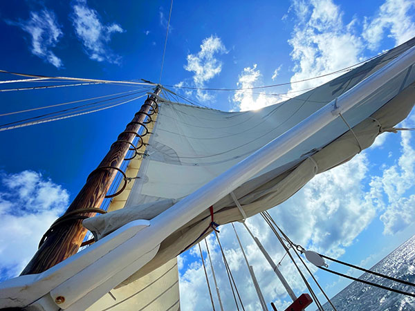 looking up at the full sail on tradition sailing charter