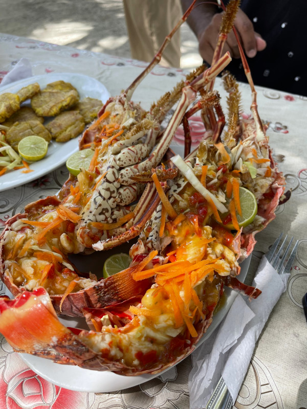 lobster lunch at san blas