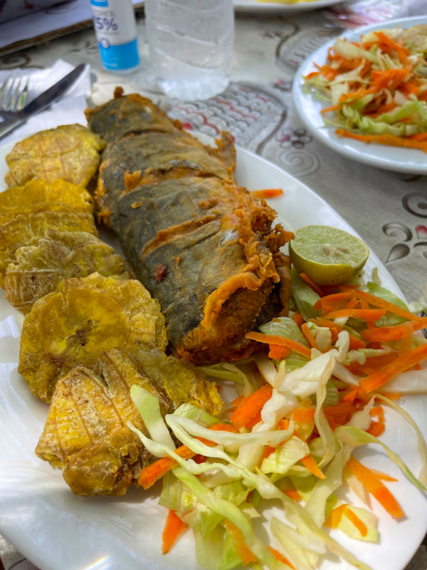 fried fish lunch at san blas